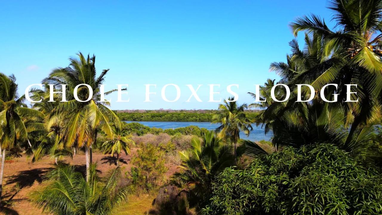 Chole Foxes Lodge 外观 照片